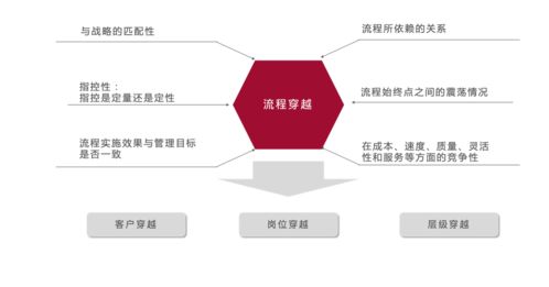 赋能敏捷组织 睿山信达人力资本如何驱动企业精细化管理