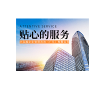 构建高效产品库 企业管理咨询的核心策略与实践
